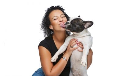 Snellville Pet Sitter Talks About Why Dog Kisses Might Not Be the Best Idea for Your Health