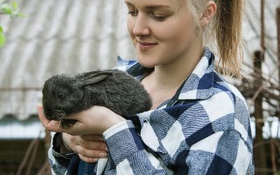 Snellville Pet Sitter Suggests 5 Surprising Reasons to Get A Rabbit As Your Next Pet