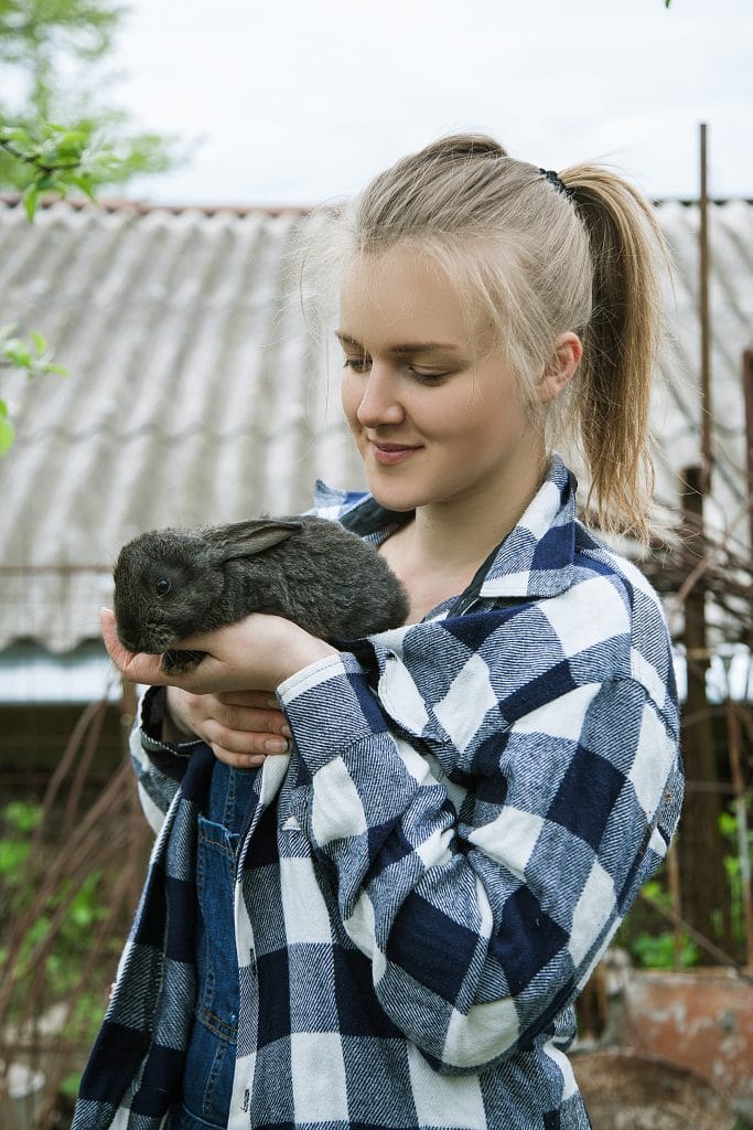 Pet Sitter Rabbit Snellville Pet Sitter Suggests 5 Surprising Reasons to Get A Pet Rabbit