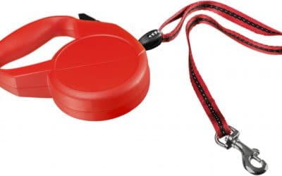 Duluth Dog Trainer Talks About The Case Against Retractable Leashes