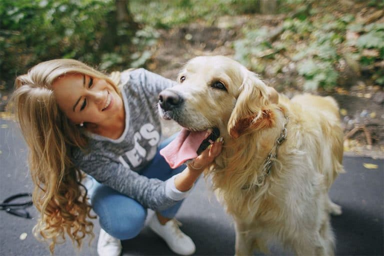 2 Paws Up Inc. Pet Sitting, Dog Walking & Dog Training Service in