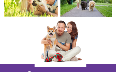 The Best Dogs for an Introvert
