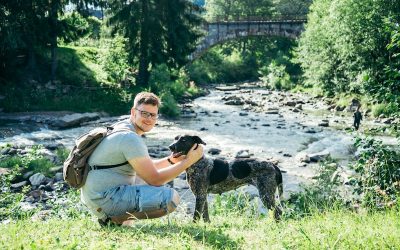 How to Be a Good Pet Parent