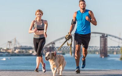 A Guide to Exercising with Your Dog