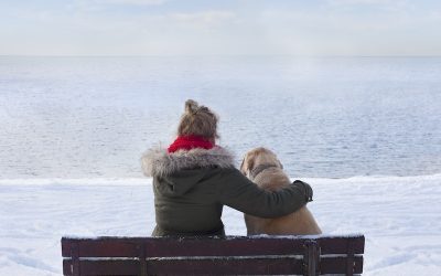Showing Compassion To Those Who Have Lost A Pet