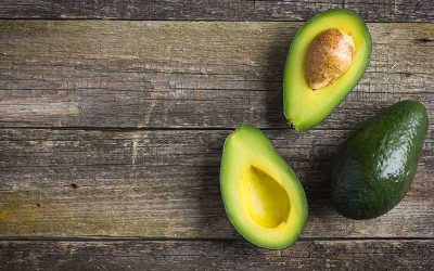 Are Avocados Dangerous for Dogs?