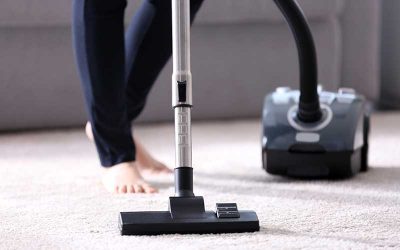 Why Is My Dog Scared of the Vacuum?