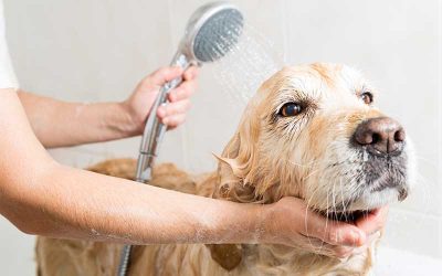 Mistakes That Parents Make at Bath Time