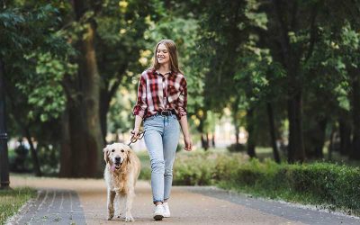 What Does A Pet Sitter Do?