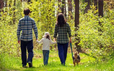 What Should I Do If My Pet Has Ticks?