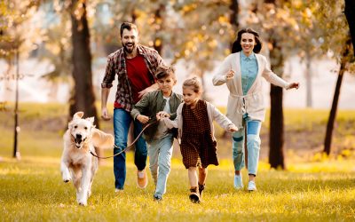 How Can I Show My Pet I am Thankful?