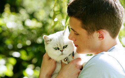 7 Reasons Why We Love Cats