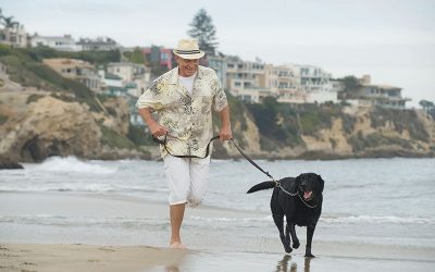 6 Reasons Why Your Dog Needs Exercise