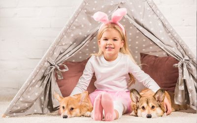 Home Alone―Pet Separation Anxiety