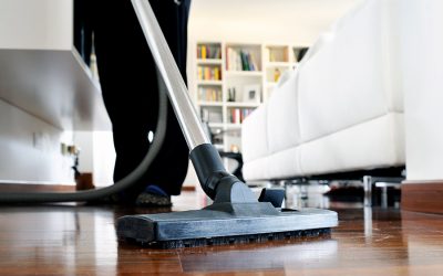 Tips for having a clean and healthy home for your pet