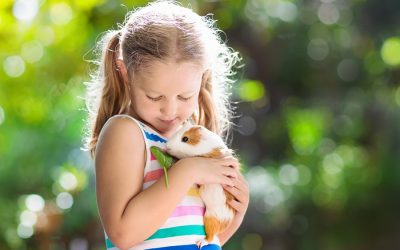 The Best Pets for Preschoolers and Elementary School Children