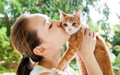 Cat Ownership with Cat Allergies