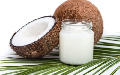 Cats and Coconut Oil – What You Need to Know