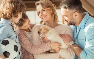 The Costs of Dog Ownership
