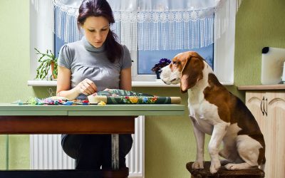 DIY Crafts and Holiday Gifts for Pets