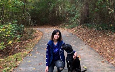 Should I Hire a Dog Trainer?