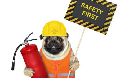 House Fire Safety and Your Pets