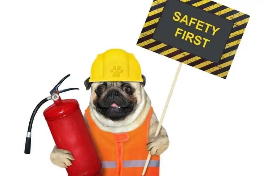 House Fire Safety and Your Pets