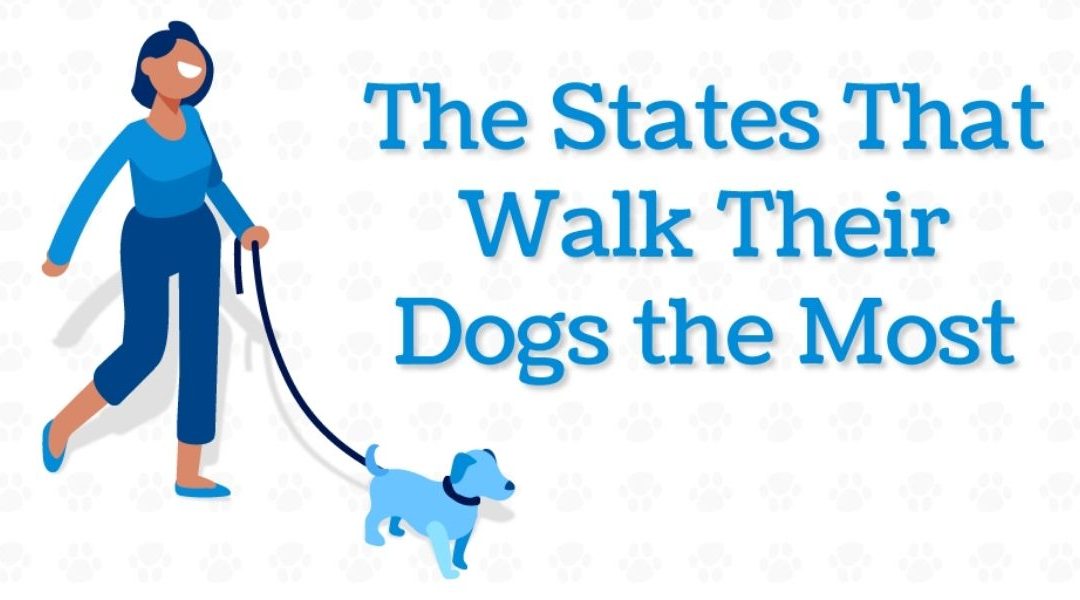 Analyzing Each State’s Dog Walking Habits