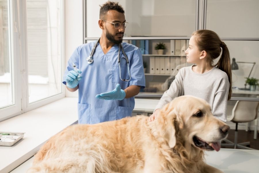 Pet Insurance Cost: The Definitive Guide
