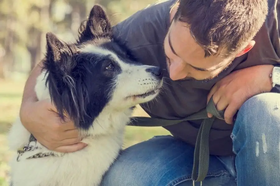 Teaching Your Dog With Confidence And Respect
