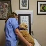 Blue Pearl Resources Page