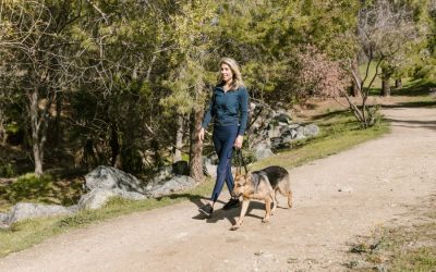 Help Your Dog Maintain Good Health With These Fitness Tips