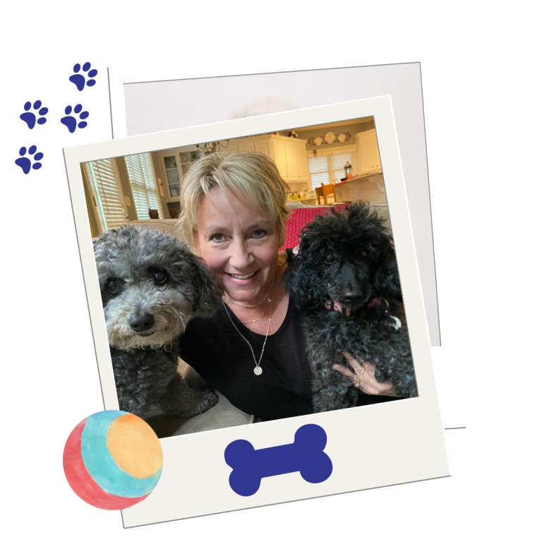 2 Paws Up Inc. Pet Sitting, Dog Walking & Dog Training Service in