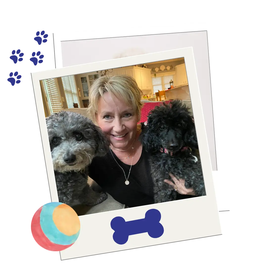 2PawsUpHomePageDogTraining2