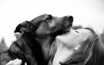 Exercise And Nutrition Tips For Keeping Your Pet Healthy