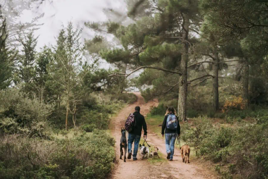 Greenway Etiquette For You and Your Dog: How to Be a Responsible Trail User