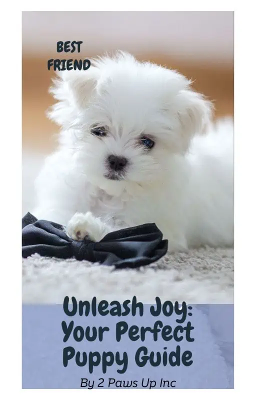 Unleash Joy - Your Perfect Puppy Guide