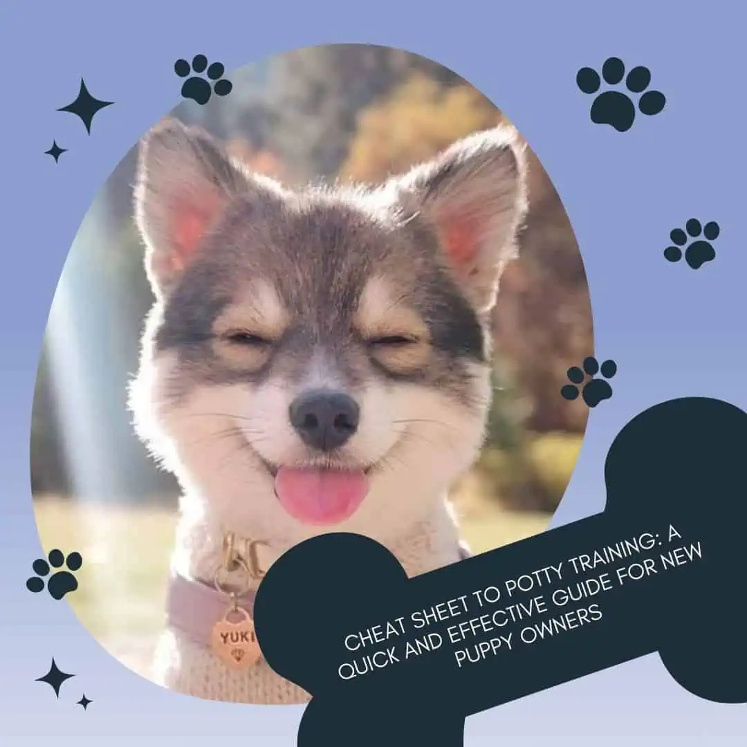 Unleash Joy - Your Perfect Puppy Guide