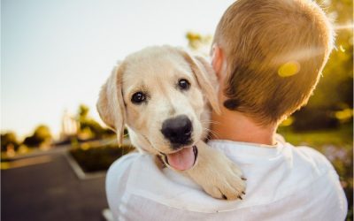Dog-over-shoulder-Mastering-Canine-Husbandry-Blog