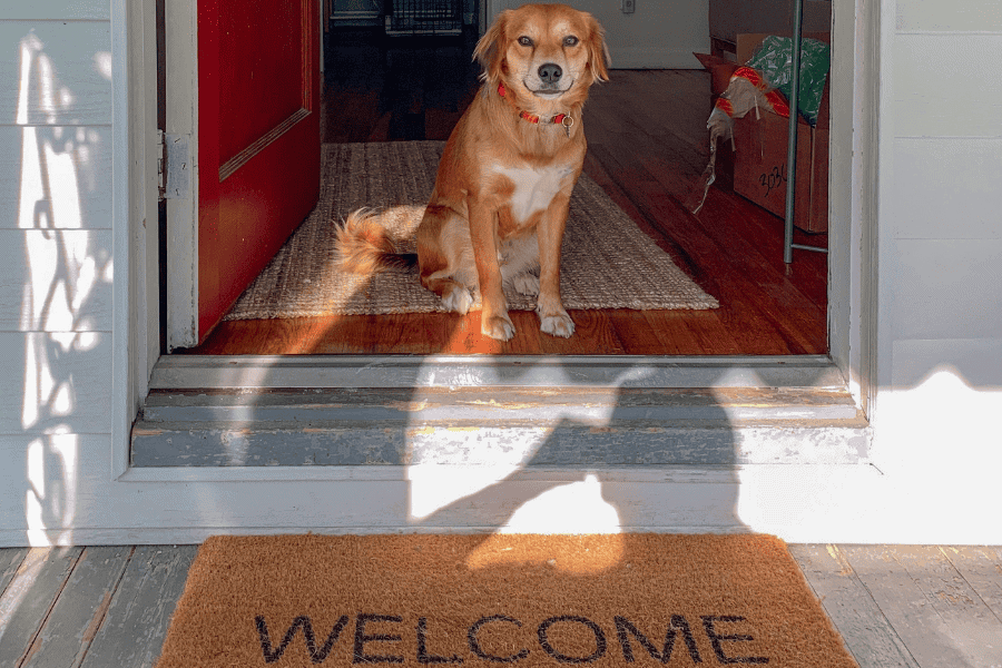 Boundary Training: Teaching Your Dog to Respect Thresholds