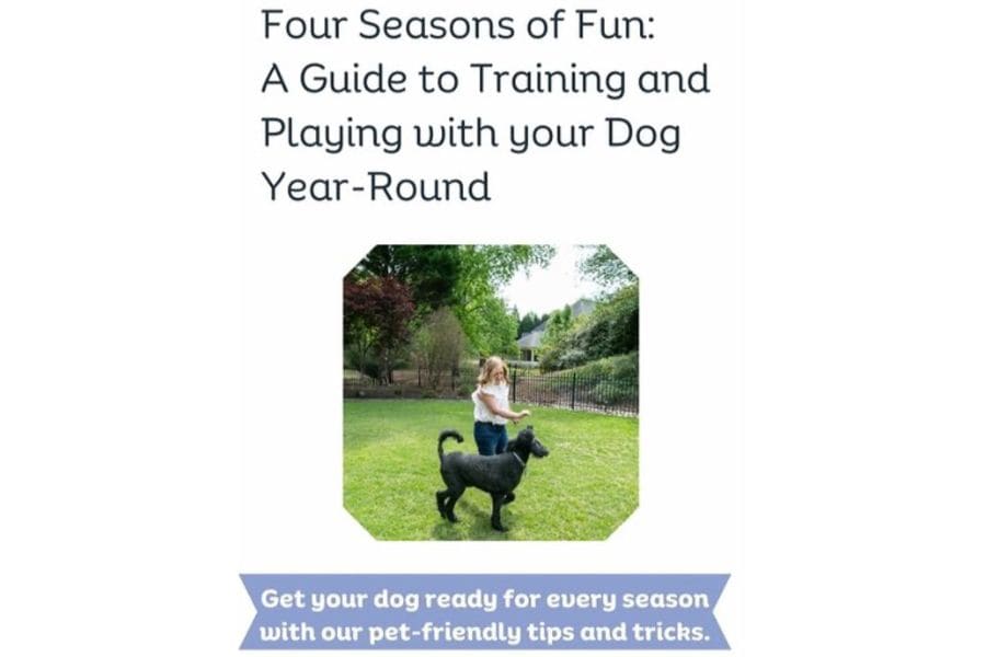 Four Seasons of Fun: A Guide to Training and Playing with your Dog Year-Round