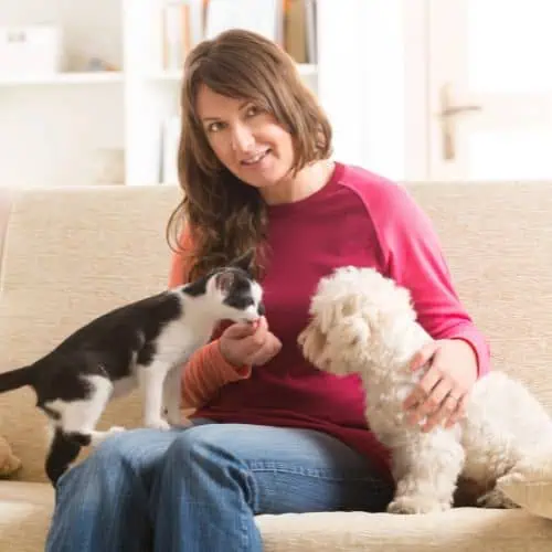 2 paws up pet sitting