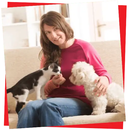 pet sitting visits