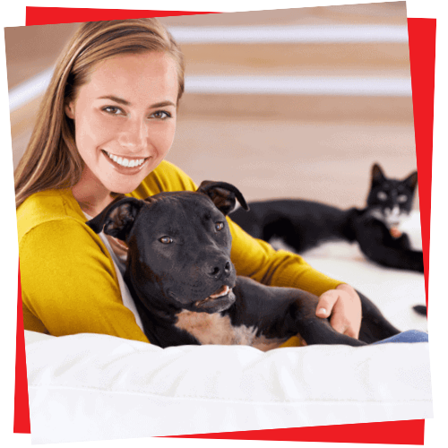 Rescue-and-Foster-Specials-1