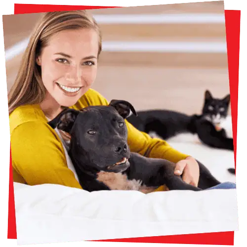 Rescue-and-Foster-Specials-1