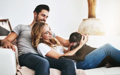 What Pet Owners Most Want to Know in 2026