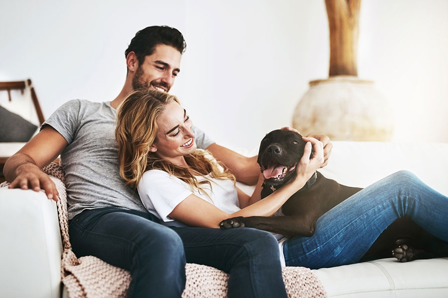 What Pet Owners Most Want to Know in 2026 – 2 Paws Up Inc.