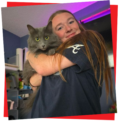 cat-sitting-pricing-page