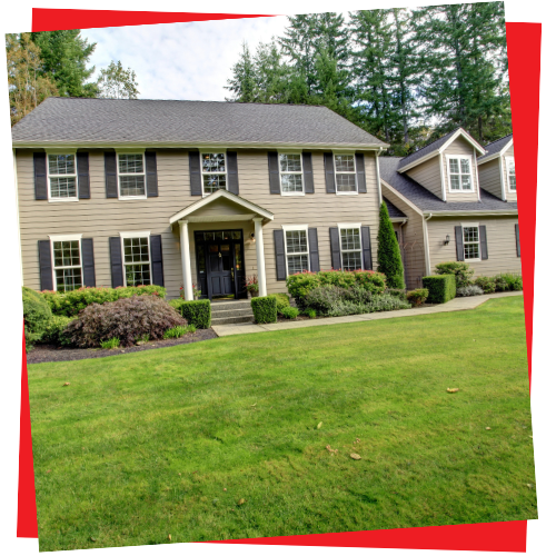 Best Dog Walkers, Pet Sitters, 2 paws up inc