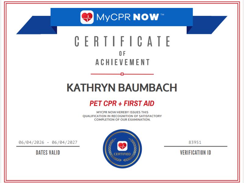 Katie Certificate Pet CPR +First Aid Katie Certificate Pet CPR +First Aid